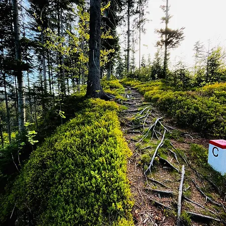 V Beskydech アパート