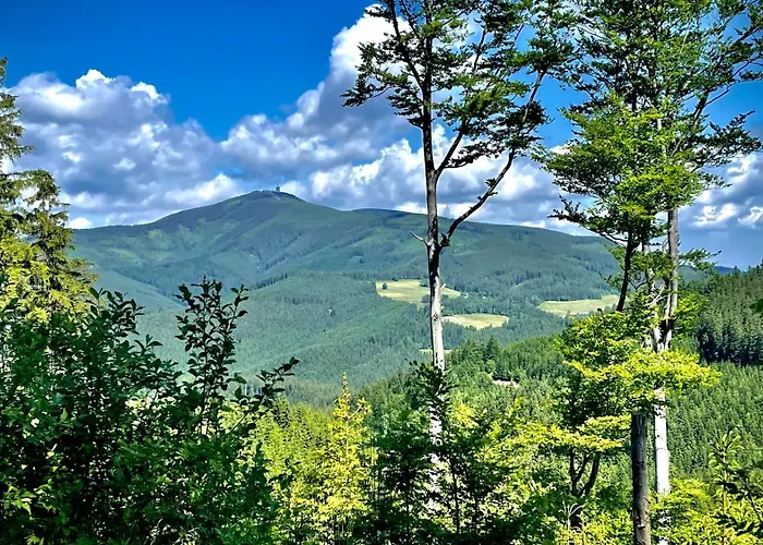 V Beskydech 아파트 Staré Hamry