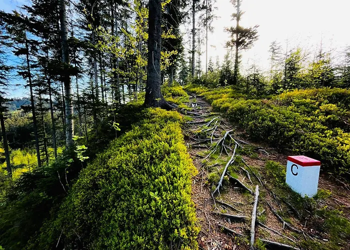 V Beskydech 아파트