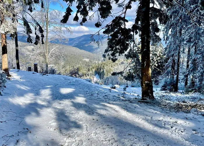 V Beskydech