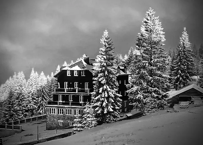 Appartement V Beskydech Staré Hamry